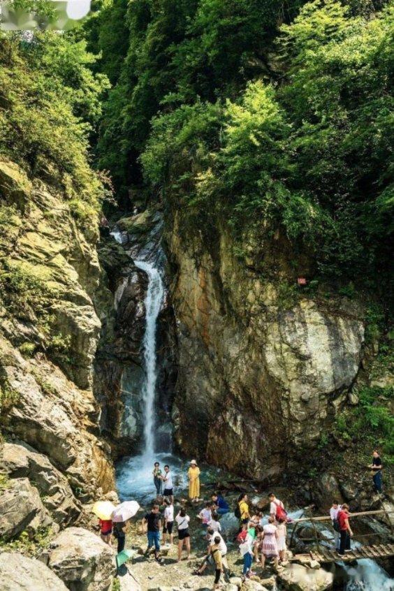 熊出没夺宝历险